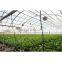 cheap galvanized agricultural greenhouses for mushroom plantations