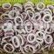 high quality frozen illex todarodes black squid ring wholesale EU