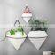 Hydroponic Wall Mounted Flower Pot Set Indoor Iron Rack Ceramic Hanging Planters Metal Wall Decor Vertical Garden Planter