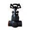 Compact ANSI Forged Globe Valve for Chemical Processing Plants With A182 F316L Seat Material