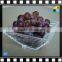 Custom design clear acrylic serving decorative food/candy/fruits trays for hotel/home party