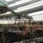 Outdoor or Indoor Dinosaur Skeleton for Sale