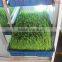 new functional automatic -animal fodder sprouting mahine -barley/wheat/meize/seedling bean sprout machine