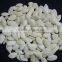 New Crop of Snow white pumpkin seeds With Various Sizes