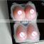 we are factory to design produce OEM shape color size logo pakage pink silicone breasts forms