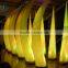 Inflatable wedding arches columns, wholesale wedding arches, led wedding arches for sale