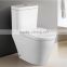 One Piece Structure and Siphon Flushing Method ceramic one piece siphonic toilet