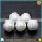 Wholesale Loose Mother Pearl Shell Beads White