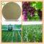 Organic Amino Acid Chelate boron fertilizer For agriculture