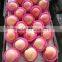 Clear Pack Fuji Apples