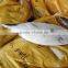 frozen fresh whole tuna fish new