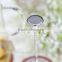 borosilicate glass teapot with straine