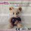 2016 New Design Lovely Fashion High Quality Top-selling Gifts And Toys Customize Wholesale Plush Toy Bear