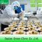 Disposable Polythene Clear Plastic Gloves Kitchen