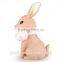 Animal shaped coin bank piggy bank tin can coin bank