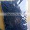 sushi food japanese dried wakame