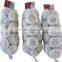 HACCP,ISO Certification and Liliaceous Vegetabless Product Type red Fresh garlic 2015 price