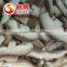 IQF Frozen Shiitake Mushroom whole / slices / 1/4 cuts /quarter