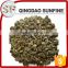 China supplier chinese pumpkin seeds Kernel