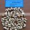 VIETNAM CASHEW NUTS/ CASHEW KERNELS WW240/ WW320/ WW450/ WS/ LP/ SP