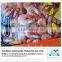 Dried red shrimp supplier from China