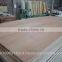 hot selling commercial and furniture plywood 1220*2440