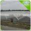 High Quality Commercial Multi-Span Vegetable Mushroom Greenhouse