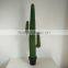SJ3001009 High imitation cactus plant/indoor decoration cactus plant