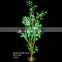 SJ0140101 Hotsale decorative led wedding decoration trees/manzanita wishing tree