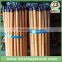 PVC coated long handle cleaning brush/wooden handle brush/long handle brush