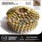Plastic coiled nails