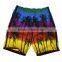 Cheap Price Heat Transfer Print Men Board Shorts Beach wear