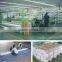 E glass fiberglass woven roving for shipbuilding