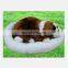 plusg dog sleep on the mat 2015 New plush toys