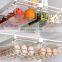 Hot Sale Kitchen Food PET Plastic Container Single Drawer Egg Storage Box Refrigerator