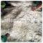 Seafood Collagen Gelatin Original Color AD BQF Whole Part Water Preservation Process Dried Fish Scale