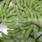 Sinocharm BRC A Approved Taiwan 75 IQF Edamame in Pods with Glazing Frozen Green Soya Bean