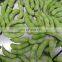 2021 Sinocharm BRC-A Approved  IQF Frozen Edamame original fresh  green Frozen Edamame