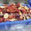 Top Quality IQF White Peach Halves Honey Peach Frozen Half Cut IQF Frozen Juicy White Peach Halves