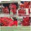 arachide peanut thresher groundnut peeling threshing machine