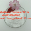3-OXO-4-PHENYL-BUTYRIC ACID ETHYL ESTER
