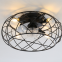 Iron cage fan light, European and American 17 inch industrial air ceiling electric fan light, three color variable frequency bedroom light