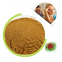 ISO Certified Rhodiola Rosea Powder Extract with 5% Rosavin 2% Salidroside Food Grade Herbal Extract Drum Packaged