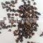 sweet buckwheat brown colour good quality (Fagopyrum esculentum)