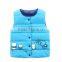 blue pink red gilet