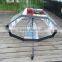 Long build Dome umbrella clear poe apollo designer transparent umbrella