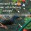 High density PP fruit grape protection net/anti bird net