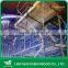 WBP Glue Pine Scaffold LVL Plank for Construction