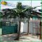 SUS Hot selling plastic coconut tree