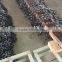 Germany Standard Galvanized Iron Din763 Link Chain